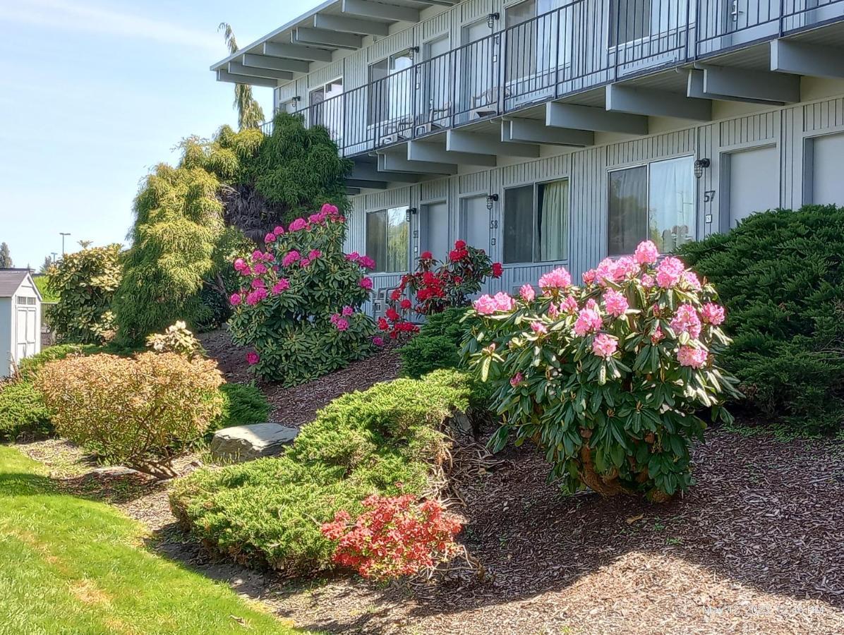 Cocusa Motel Burlington Esterno foto